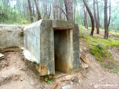 Frente Agua-Yacimiento Arqueológico Guerra Civil Española; bosque animado de oma cañon del cares sen